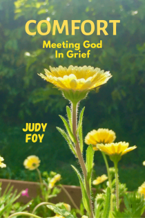 Comfort. Meeting God in Grief
